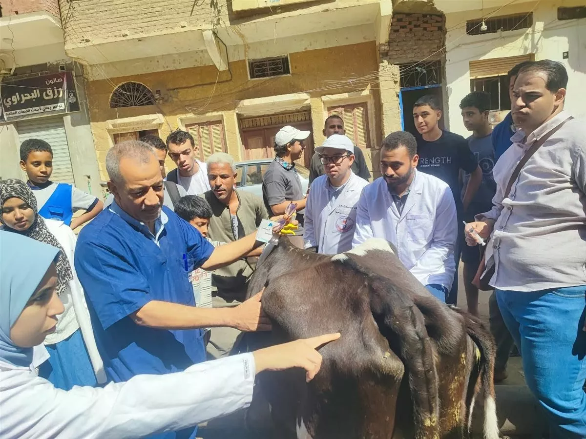 جانب من القافلة البيطرية