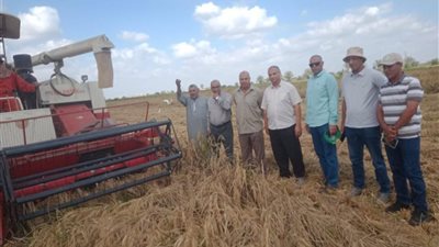 الزراعة تراجع نتائج حصاد الأرز وبرامج التقاوي بمحطة بحوث الجميزة
