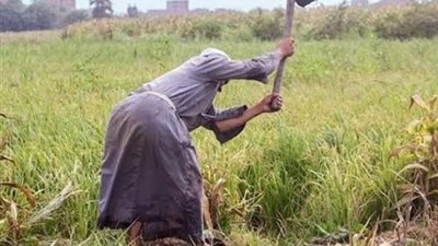 خاص| 