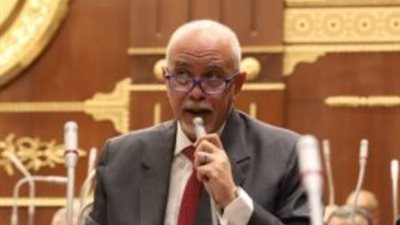 عضو بالشيوخ: دخول مصر للطيران قائمة أفضل 50 شركة عالميا يعكس نجاح جهود التطوير