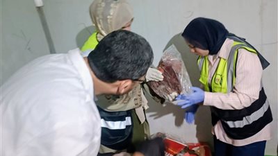 ضبط دواجن وأسمدة ومثلجات مجهولة المصدر في طهطا وحي شرق