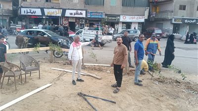 استجابة لشكاوى الأهالي.. صناديق قمامة وأشجار للقضاء على تراكم المخلفات بالمرج الغربية