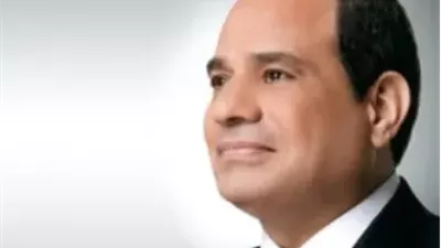 الرئيس السيسي يشدد على أهمية حسن استغلال موارد الدولة