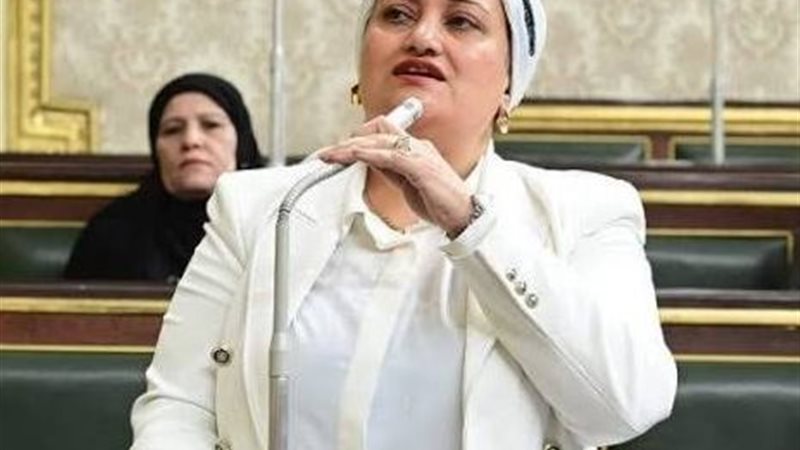 النائبة سناء السعيد، عضو لجنة التعليم بمجلس النواب
