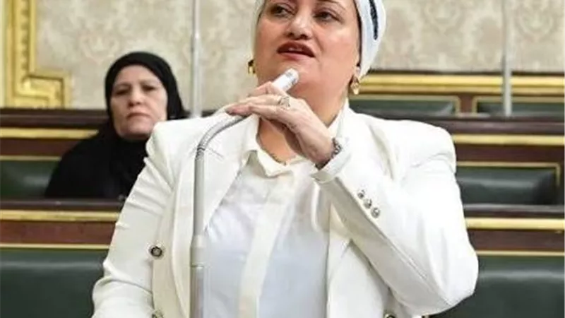 بشرى لأوائل خريجي الأزهر.. النائبة سناء السعيد تكشف تفاصيل خطة التعيين خلال السنوات المقبلة