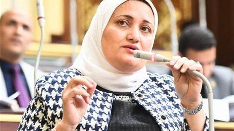 النائبة سناء السعيد، عضو لجنة التعليم بمجلس النواب