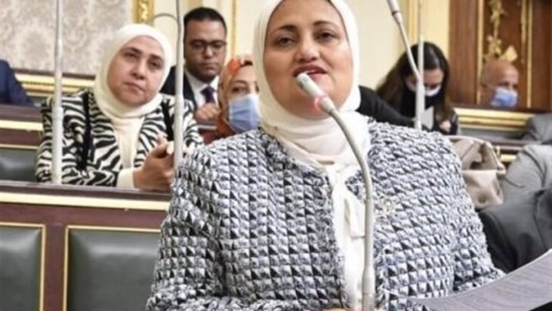 النائبة سناء السعيد، عضو لجنة التعليم بمجلس النواب