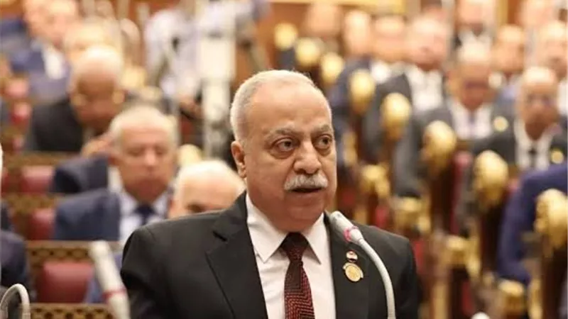 «الأرقام مسجلة بأسماء آخرين».. النائب حسني سبالة يحذر من تحديات الإعلان الإلكتروني للقضايا