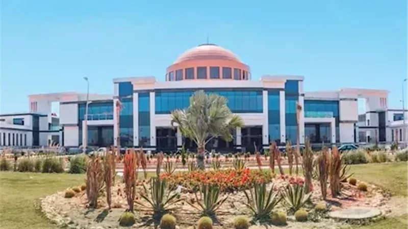 مدينة زويل 