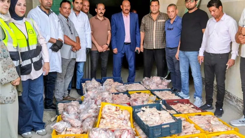 ضبط 460 كيلوجراما من الدواجن ومصنعات اللحوم الفاسدة بسوهاج