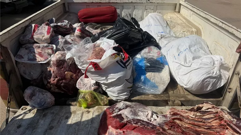 ضبط ربع طن لحوم ودواجن غير صالحة للاستهلاك الآدمي في حملة مكبرة بالمنوفية