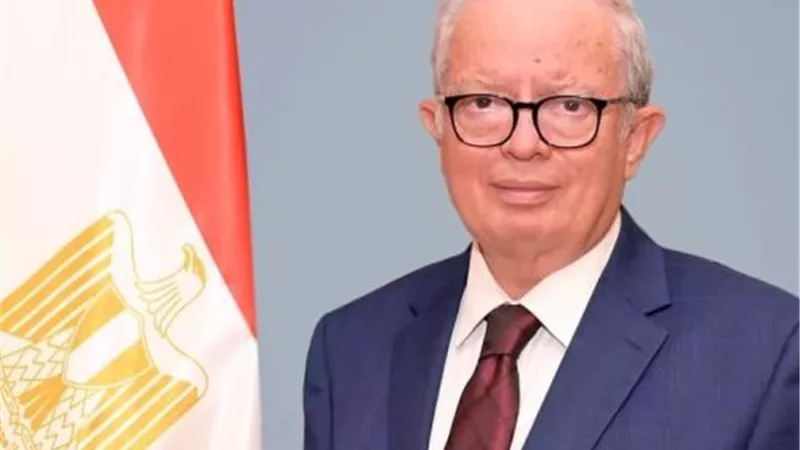 نائب رئيس الوزراء يتابع تطوير 7 شركات للغزل والنسيج