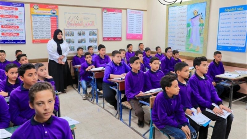 الأكاديمية المهنية