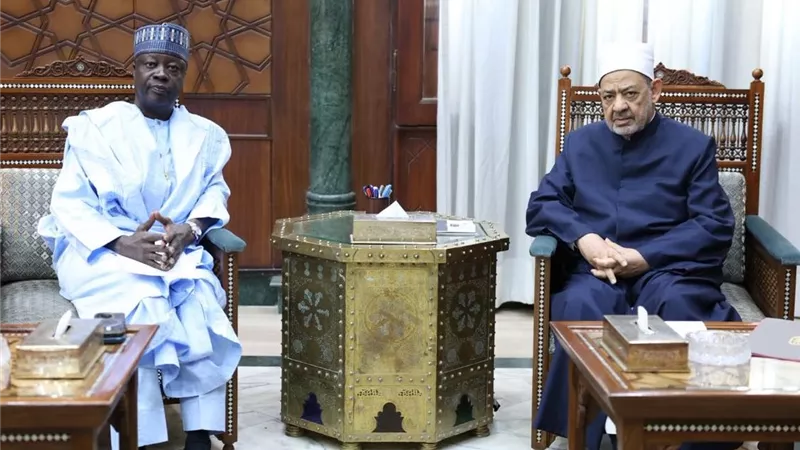 شيخ الأزهر يبحث مع سفير نيجيريا دعم الطلاب والأئمة الأفارقة