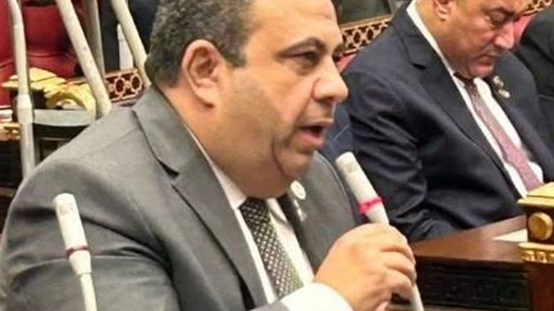 النائب أيمن الصفتي،