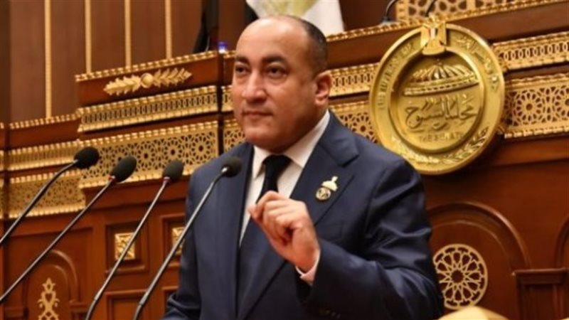 النائب عمرو رشاد،