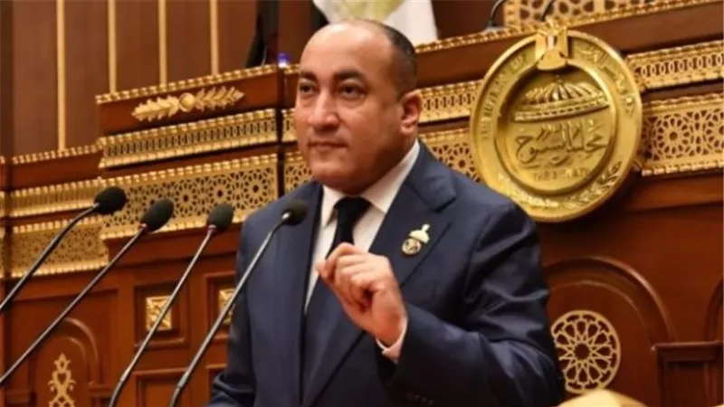 مقترح برلماني لإلزام شركات الشحن والتوصيل بالتأمين على عمال الدليفري