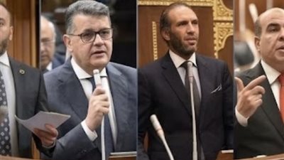 تشكيل هيئة مكتب حقوق الإنسان بالبرلمان.. طارق رضوان رئيسًا والهضيبي ومطر وكيلين وفريد أمينًا للسر