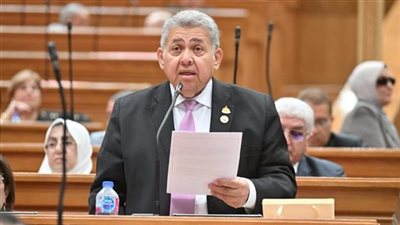 فوز أشرف الشيحي برئاسة لجنة التعليم والبحث العلمي بالنواب