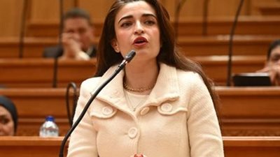 فلتبقى حقوق المصريين ولترحل الحكومة.. إيرين سعيد تهاجم عدم جاهزية الوزراء لتطبيق الإجراءات الجنائية