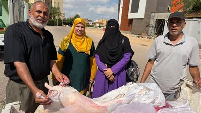 ضبط لحوم ودواجن غير صالحة للاستهلاك الآدمي خلال حملات بالمنوفية