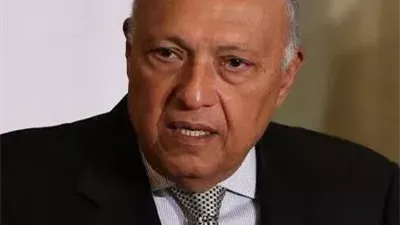     «مربط الفرس».. سامح شكري يكشف أخطر ما جاء في اتفاق المبادئ مع إثيوبيا