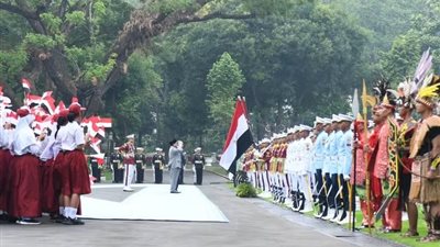 السيسي من إندونيسيا: نؤكد على حقوق مصر المائية ورفض التهجير القسري للشعب الفلسطيني