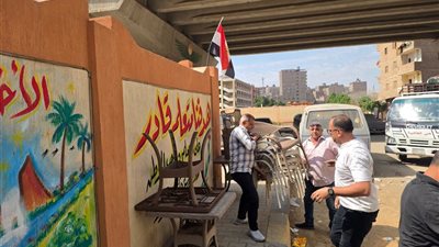محافظ الجيزة في جولته بالهرم يشدد على رفع الإشغالات وتأمين شبكات الكهرباء بمحيط المدارس 