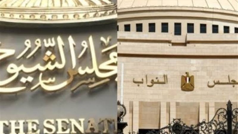 النواب والشيوخ 