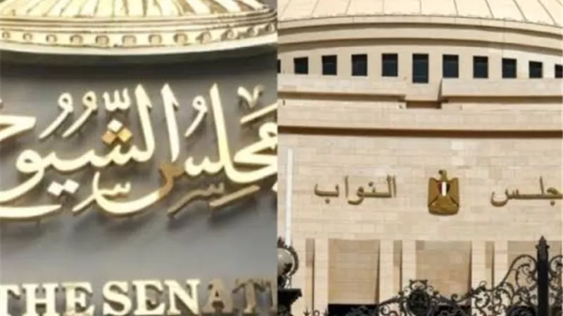 39 لجنة نوعية ترسم خريطة العمل البرلماني.. كيف تختلف لجان مجلسي النواب والشيوخ؟