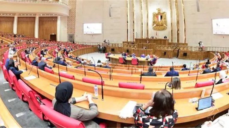 محمد مجاهد رئيسًا لـ«شباب النواب».. وثروت سويلم وسامر التلاوي وكيلان