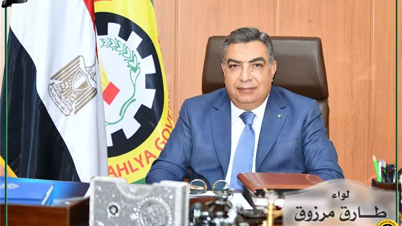 محافظ الدقهلية يهنئ الوادي الجديد بعيدها القومي