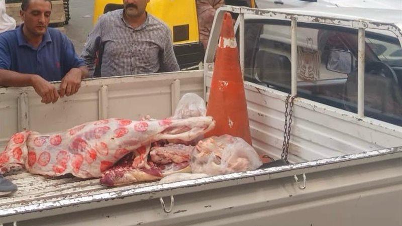 الحملات