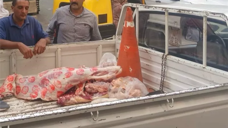 ضبط لحوم مذبوحة خارج المجازر الحكومية وغير صالحة للاستهلاك بالمنوفية