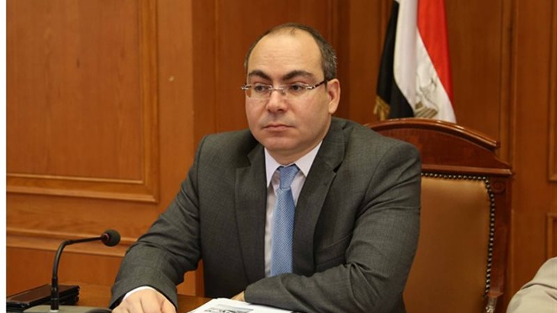 النائب محمد رشوان،