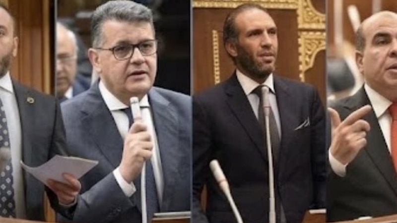 حقوق الإنسان بالبرلمان