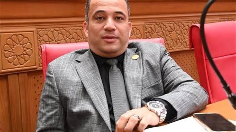 النائب هاني شحاتة،
