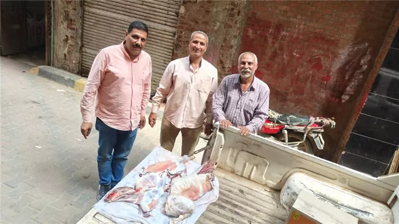 ضبط لحوم وأسماك مجهولة المصدر وغير صالحة للاستهلاك الآدمي بالمنوفية 