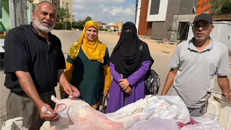 ضبط لحوم ودواجن غير صالحة للاستهلاك الآدمي خلال حملات بالمنوفية