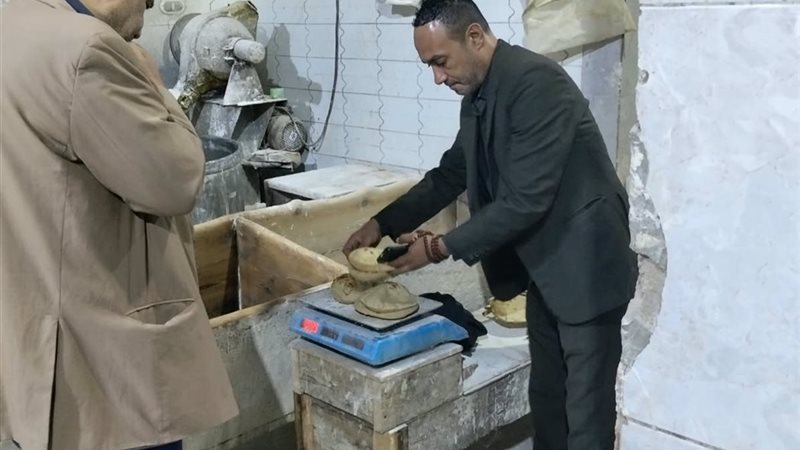 الحملات 