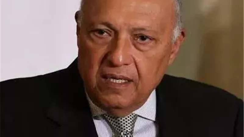 سامح شكري 