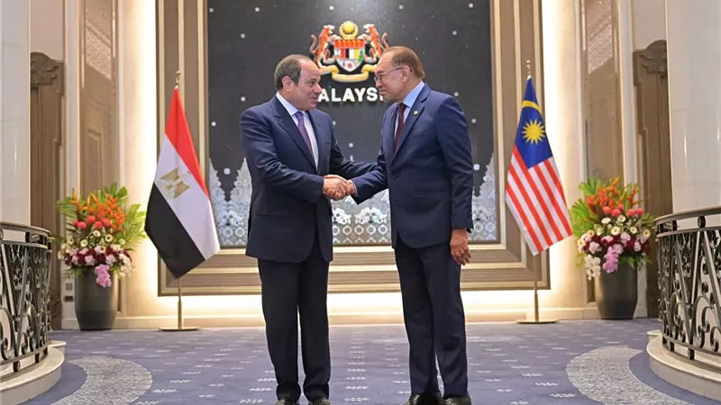 خبير علاقات دولية: مصر تمتلك مفاتيح اقتصادية وسياسية لتعزيز شراكاتها مع آسيا