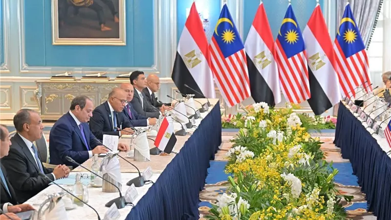 طارق فهمي: جولة الرئيس السيسي الآسيوية تعزز استراتيجية مصر للتوجه شرقًا وتفتح آفاقًا جديدة للتعاون