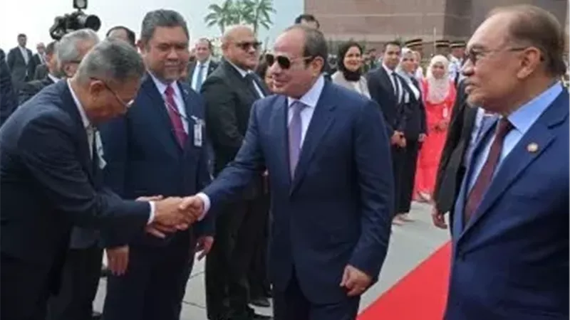 السيد الرئيس عبد