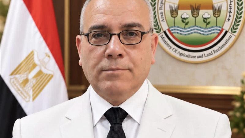 المهندس وليد عبد