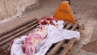ضبط 15كجم مجمدات منتهية الصلاحية خلال حملة بيطرية مكبرة في أخميم بسوهاج