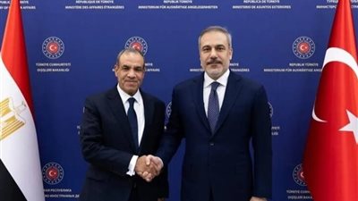 مصر وتركيا تدعوان لاستئناف المفاوضات الأمريكية الإيرانية وخفض التصعيد في المنطقة 