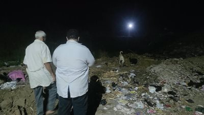 تحرك عاجل في سوهاج إثر إصابة 12 مواطن بعقر كلاب ضالة بمركزي طما وطهطا