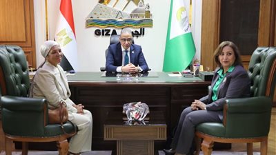 محافظ الجيزة يلتقي اللجنة الطبية العليا بمجلس الوزراء