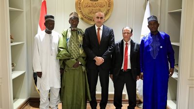 وزير التعليم يبحث تعزيز التعاون مع جامبيا والاستفادة من الخبرات المصرية بتطوير التعليم الفني